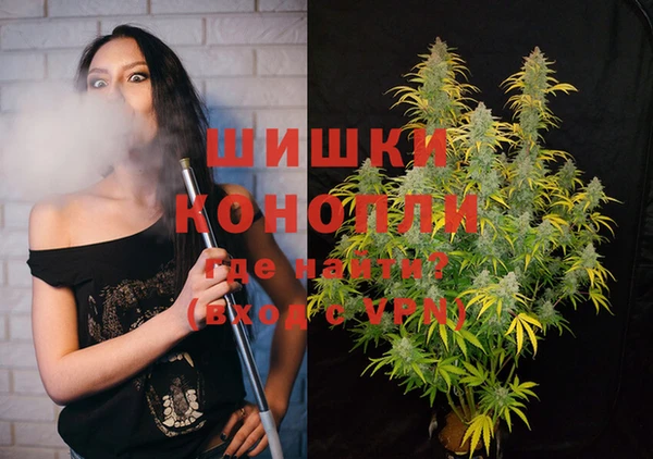 первитин Богородицк