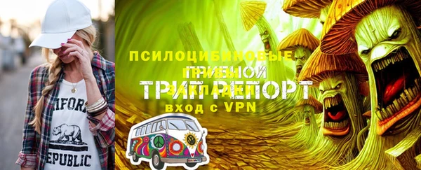 первитин Богородицк